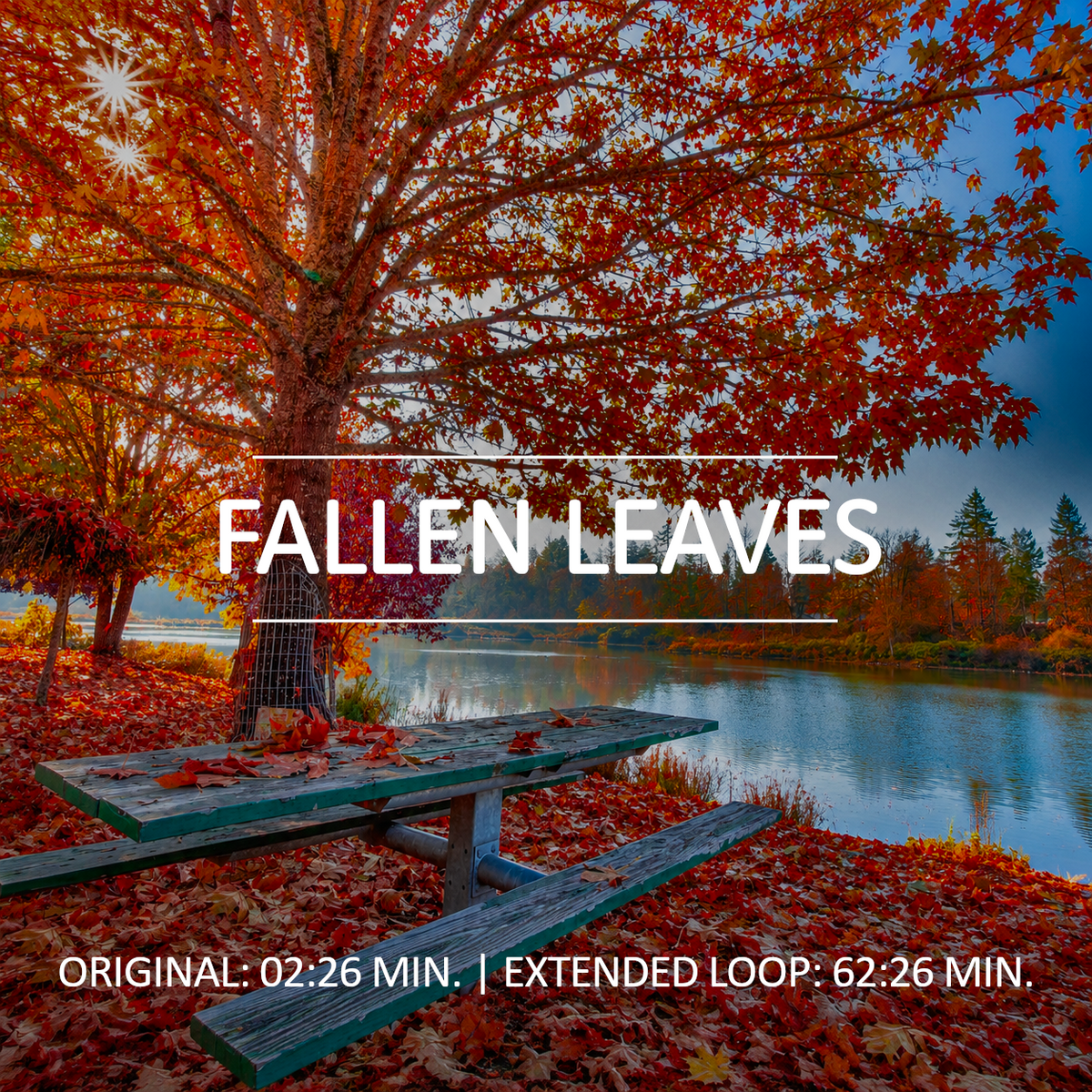 Fallen Leaves