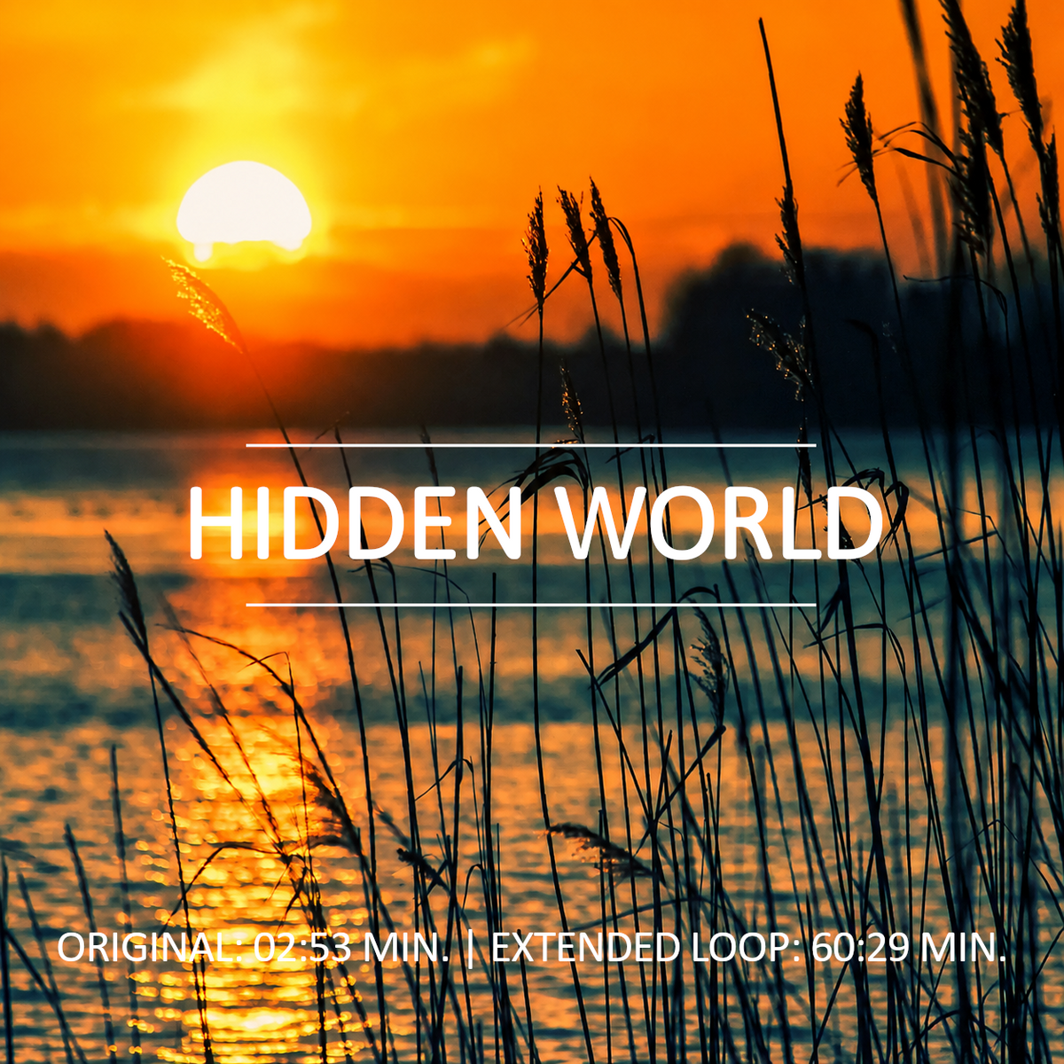 Hidden World