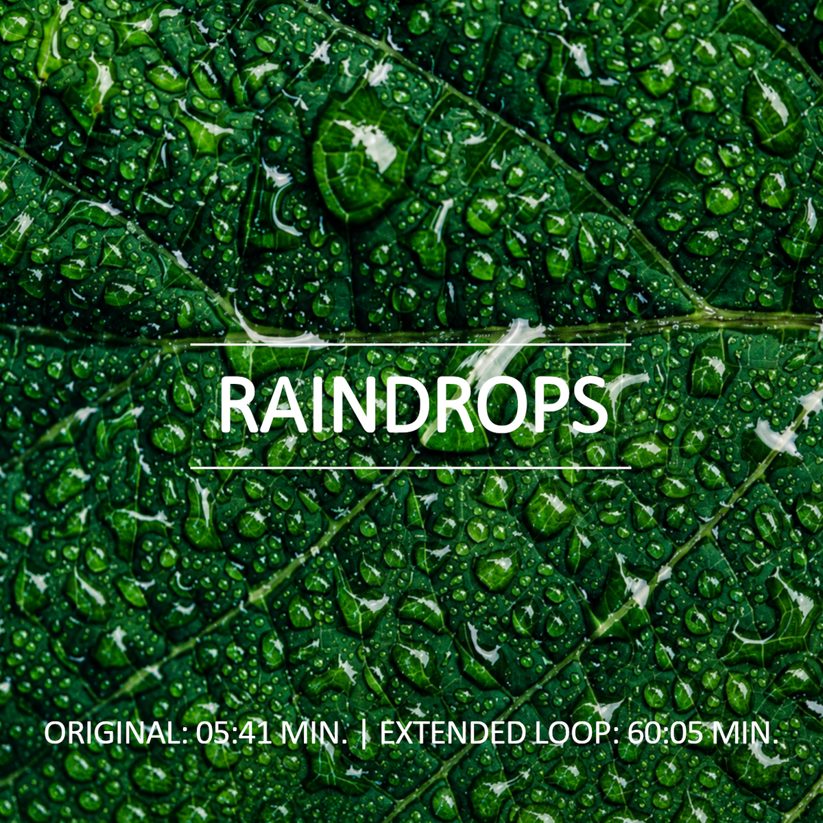 Raindrops