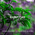 Rainy Day