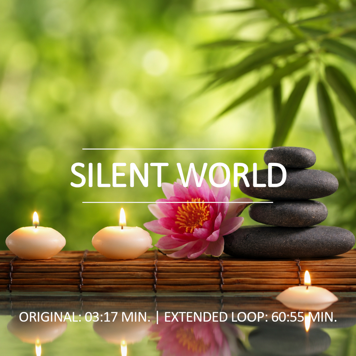 Silent World