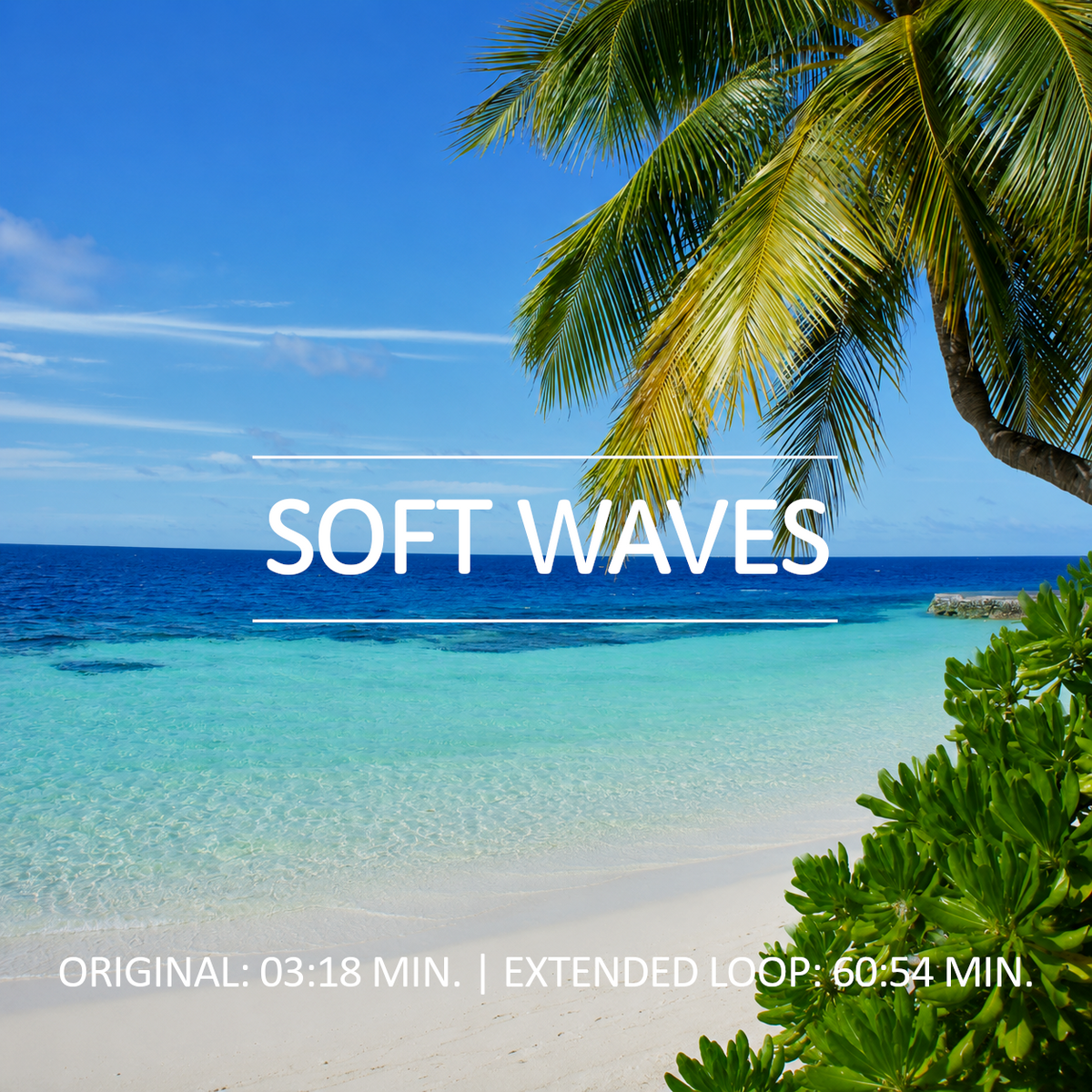 Soft Waves