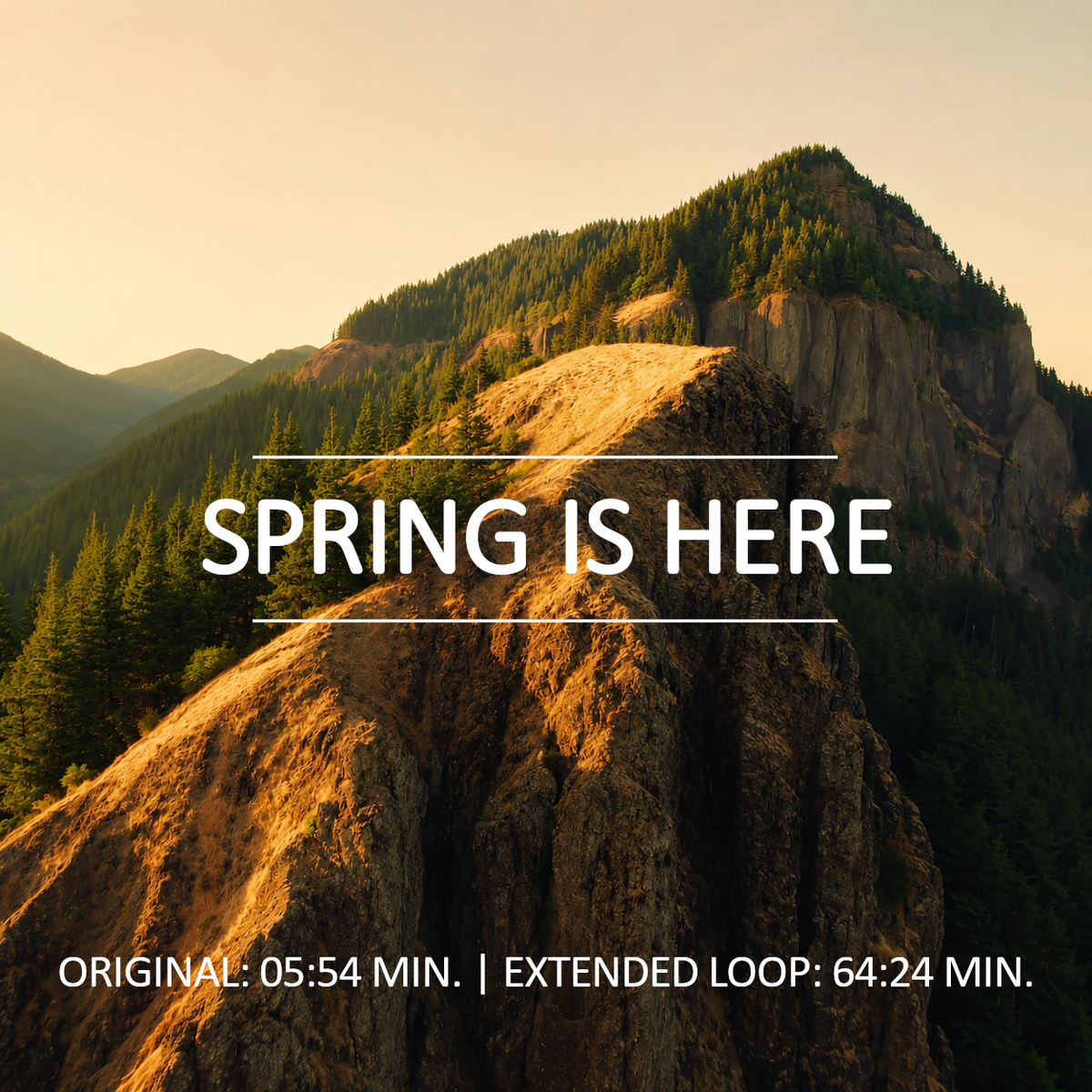 Spring Is Here